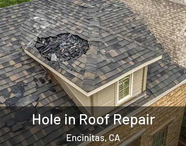  Hole in Roof Repair Encinitas, CA