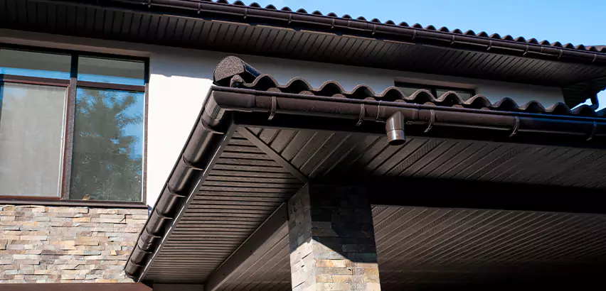 Soffit Damage Repair in Encinitas