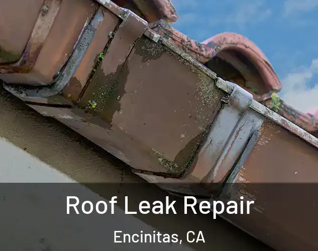  Roof Leak Repair Encinitas, CA