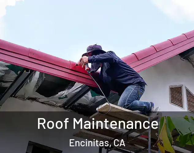 Roof Maintenance Encinitas, CA