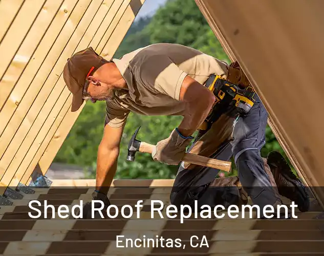  Shed Roof Replacement Encinitas, CA